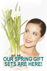 Our Spring Promotions